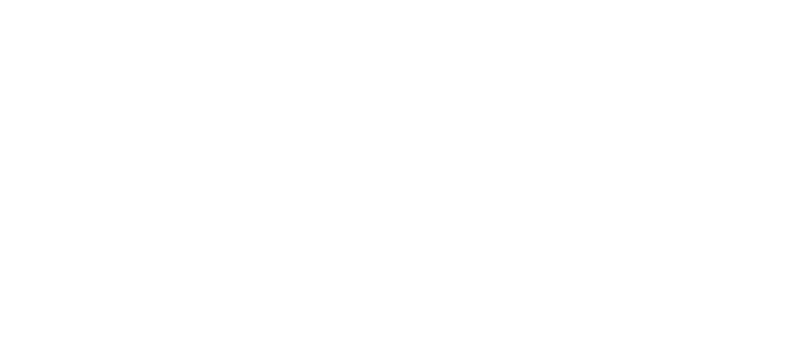 Lead 8